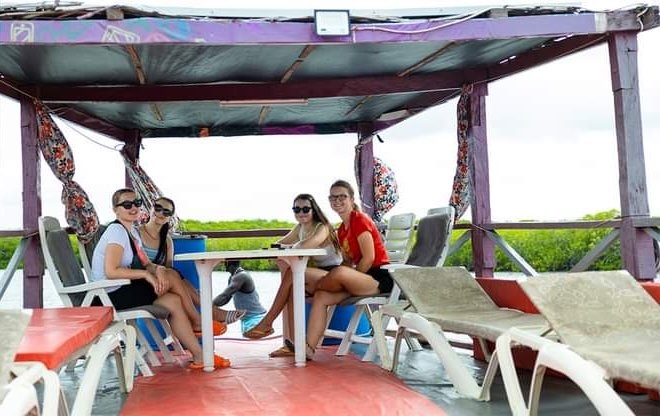 Mangroves and Boat Excursion